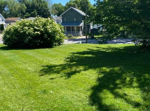 Brian E.'s Lawn Service service result