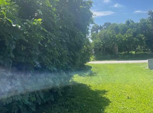 Bush Trimming by Charles Walton for Julia L. in Lake Worth, FL