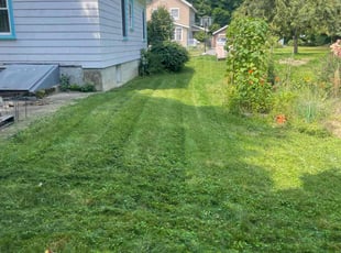 Barbara K.'s Lawn Mowing Service service result