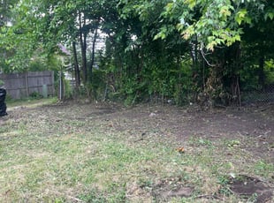 Leaf Removal by John Panich for Francis S. in Highland Park, MI