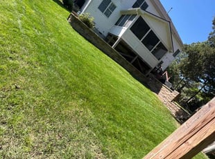 WILLIAM G.'s Lawn Mowing service result