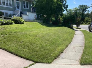 Ms. A.'s Lawn Mowing service result