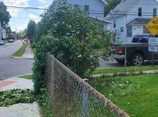 Bush Trimming by Richard Vonderau for Marten D. in Cleveland, OH