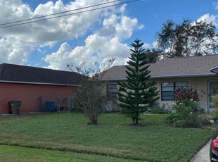 Sarah P.'s Yard Cutting service result
