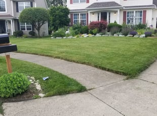 Lelenya K.'s Lawn Care service result