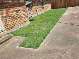 Austin D.'s Lawn Maintenance service result