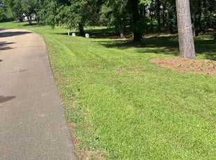 Jenai W.'s Lawn Maintenance service result