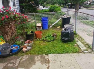 Bush Trimming by Jose M Bautista for josh t. in East Orange, NJ