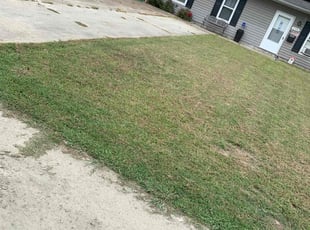 Bush Trimming by Michael Pee for Bell C. in Norfolk, VA