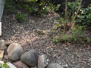 Leaf Removal by Jeffrey Curran for Monica W. in Lakeville, MN