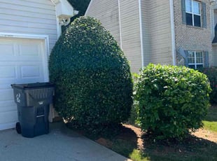 Bush Trimming by Phillip StPreuve for Alana W. in Lawrenceville, GA