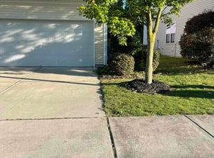 Bush Trimming by Salomon Mendoza for Jenna W. in Fuquay-Varina, NC