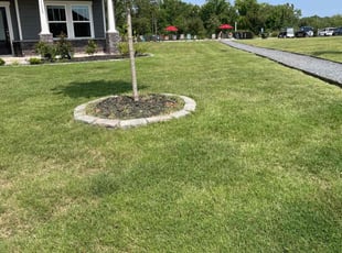 Tracy L.'s Lawn Mowing service result