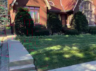 Victor C.'s Lawn Care service result