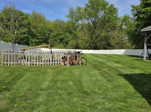Leaf Removal by Taylor Walker for Latoya J. in Guilford, CT