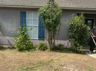 Bush Trimming by Mekeila Morris for Steven K. in Baton Rouge, LA