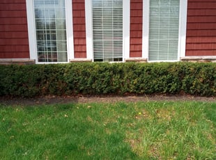 Bush Trimming by Gregory Miller for Neeru S. in Reynoldsburg, OH