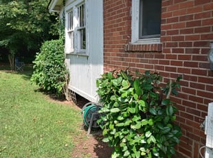 Bush Trimming by Noel Gilbert for Jameelah M. in Atlanta, GA