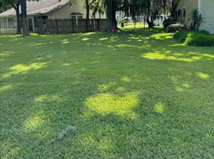 Rachael B.'s Lawn Maintenance service result