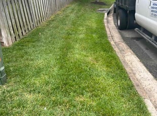 Jarrett S.'s Lawn Maintenance service result
