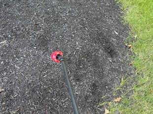 Weeding by Dave Ehrenberg for Susan P. in Columbus, OH