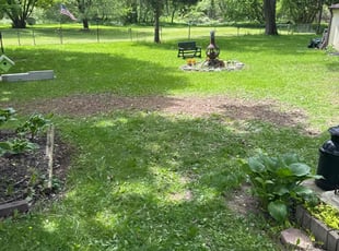 Leaf Removal by Marcus Holmes for judy t. in Manlius, NY