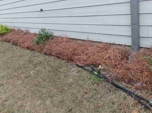 Mulching by Enrique Juarez for Joey L. in Canton, GA