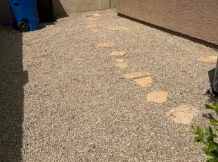 Leaf Removal by Michael Rizzo for Bailey M. in Mesa, AZ