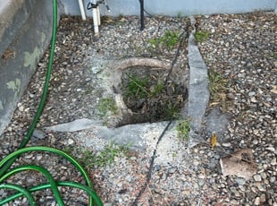 Weeding by Keith Dalke for Cathy L. in Chula Vista, CA