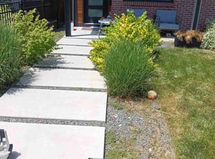 Weeding by Tom Davis for Scott S. in Denver, CO