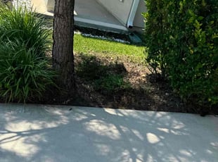 Weeding by Delson Auguste for Osiris Q. in Middleburg, FL
