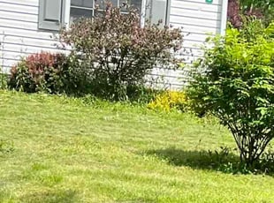 Cleanups by Austin Spera for Brent H. in Burton, OH