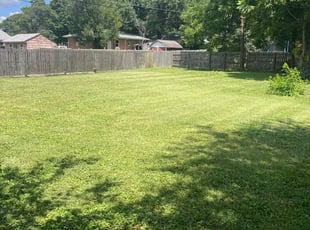 Leo Y.'s Lawn Mowing service result