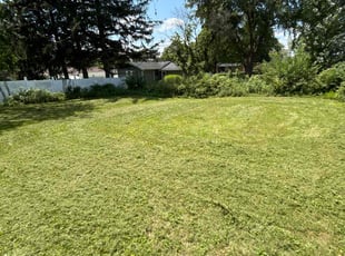 TRAVIS E.'s Lawn Care service result
