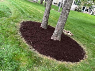 Weeding by Cody Phillips for Corey O. in Lehighton, PA