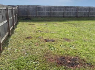 Aeration by Xavier Haygood for Matthew L. in Madison, AL