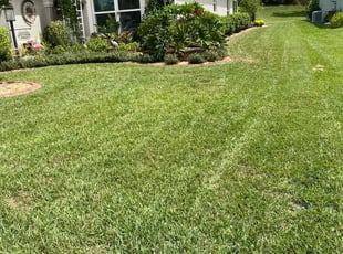 James S.'s Yard Cutting service result