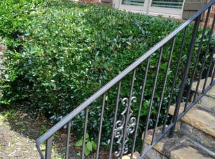 Bush Trimming by James Day for Alex K. in Buford, GA