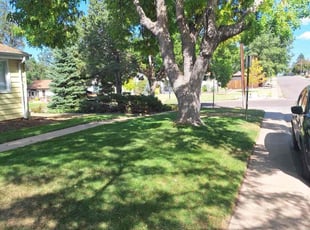 Ronnie F.'s Lawn Mowing service result