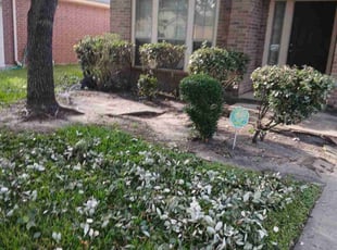 Bush Trimming by Rafael Gonzalez for Willie Ruth . in Fresno, TX