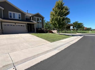 Aneesh A.'s Grass Cutting service result
