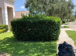 Bush Trimming by Robert Lee for Lorraine G. in Lakewood Ranch, FL