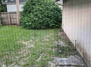 Bush Trimming by Jason Woytowitz for Kevin l. in Cocoa, FL