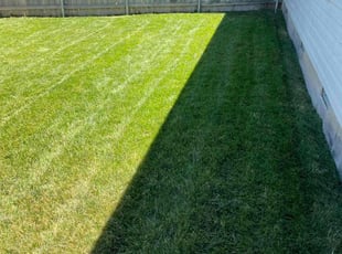 Randall K.'s Grass Cutting service result