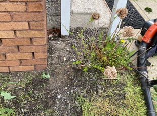 Weeding by Tyriek James for Matt F. in Indianapolis, IN