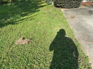 Bush Trimming by Scot Newman for Sam M. in Pelham, AL