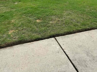 Leaf Removal by Bryce Russum for Cooper G. in Madison, MS