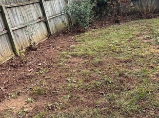 Bush Trimming by Edward Stoupa for Joseph K. in Kennesaw, GA