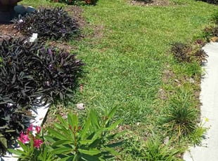 Demarques J.'s Lawn Service service result