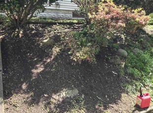 Weeding by Jacob Soboski for Wynchell N. in Erie, PA
